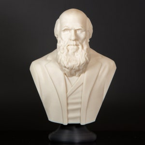 Charles Darwin The Biologist Bust Statue, Bookish Decor, Library Decor, Science Teacher Gift image 2