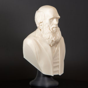 Charles Darwin The Biologist Bust Statue, Bookish Decor, Library Decor, Science Teacher Gift image 3