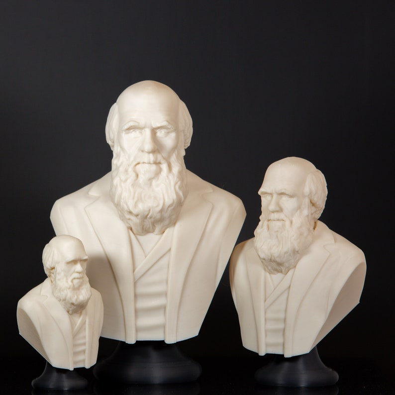 Charles Darwin The Biologist Bust Statue, Bookish Decor, Library Decor, Science Teacher Gift image 1