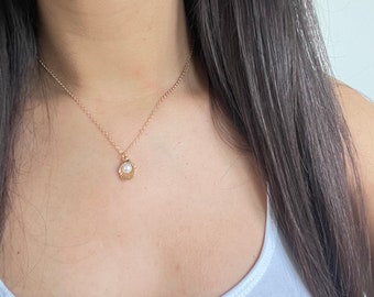 Seashell pearl necklace, tiny seashell and pearl necklace, seashell necklace, pearl necklace, seashell with pearl necklace, shell necklace