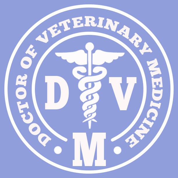 Amazon.com : Personalized Pet Doctor Metal Sign, Personalized Veterinary  Sign, Veterinarian Name Metal Sign, Personalized Metal Vet Sign, Metal  Animal Care Sign, Custom Vet House Decor : Home & Kitchen