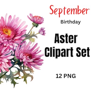 September Birth Flower Aster Clipart | Purple Aster Watercolor PNG | Autumn Floral Digital Download for Cards & Crafts