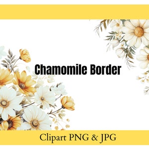 Daisy PNG, Daisy Clipart, Chamomile border, Border Clipart, Daisy Invitation, Daisy Clipart PNG