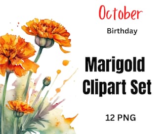 Watercolor Marigold Clipart | October Birth Flower PNG (Digital Download)