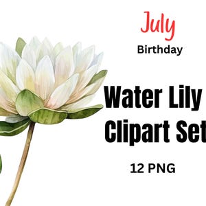 Birth Flower Clipart July Water Lily | Pond Lily & Lotus Watercolor PNG | Botanical Flower Digital Download | Floral Clip Art for Cards
