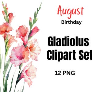 Glaïeuls naissance fleur Clipart PNG, aquarelle florale en téléchargement numérique, fleur du mois de naissance août, usage Commercial Clip Art Bundle