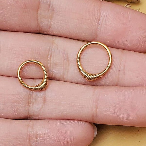 16G titansilver månseptum | Månkrok med gångjärn | Septumring med gångjärn | Helix-tragus, conch-piercing | Unika septumsmycken | Present till henne