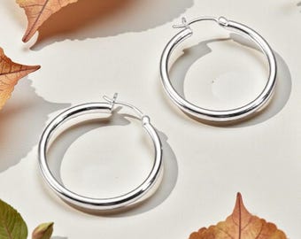 925 Sterling Silver Hoop Earrings 14K Silver Plated | Chunky 3mm Lightweight Hoops for Women & Girls | Everyday Casual  Statement Jewellery