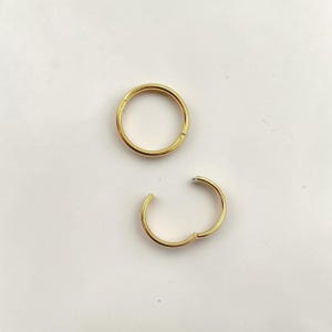 May include: Two gold-colored, hinged hoop earrings. One earring is closed, forming a complete circle. The other earring is open, showing the hinge mechanism. The earrings are set against a white background.