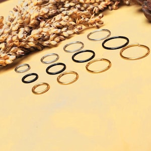 20G 18G16G Silver Seamless Cartilage Earring/Nose Ring/Septum Ring/Hoop Earring/Tragus Hoop/Daith Hoop/Helix Hoop/Summer Jewelry/Hinged Hoop