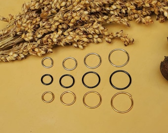 20G 18G16G Silber nahtlose Knorpelohrring/Nasenring/Septum Ring/Creolen/Tragus Hoop/Daith Hoop/Helix Hoop/Sommer Schmuck/Klapp Hoop