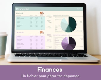 Annual Budget Manager - Google Sheets - Track Income, Expenses, and Savings - Adorable Design with a Changing Cat