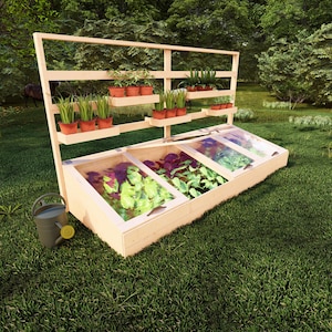 Könnte beinhalten: Ein hölzerner Kaltkasten mit einem Glasdeckel und einem Regal für Pflanzen. Der Kaltkasten steht auf einem grünen Rasen. In dem Kaltkasten und auf dem Regal wachsen Pflanzen.