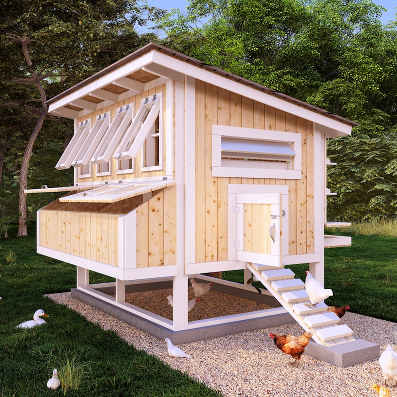 20 Chickens Coop Plans Small Backyard Farm DIY 6x8 Blueprint PDF Woodworking Stepbystep Guide
