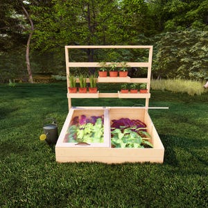 Könnte beinhalten: Ein erhöhtes Gartenbeet aus Holz mit einem durchsichtigen Plastikdeckel und einem Regal zum Anpflanzen von Pflanzen. Das Beet ist in zwei Abschnitte unterteilt, die jeweils verschiedene Arten von Blattgemüse enthalten. Das Regal hat mehrere Topfpflanzen, darunter Kräuter und Tomaten.