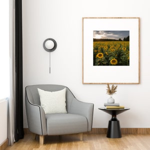 Sunflower Field Digital Download Image of Sunflowers at Sunrise Yellow Scenic Home Decor