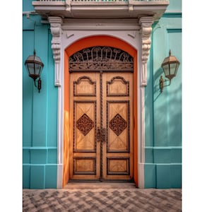 Old San Juan Door Photograph Brightly Colored Door Image Digital Download Beautiful Colorful Door Wall Decor Image Instant Download to Print