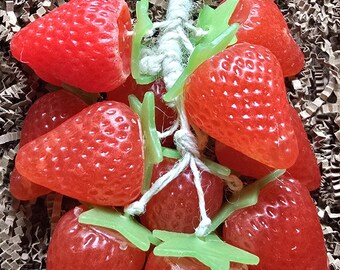 Strawberry Suds - Over The Sink Soap Bundle