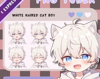 White Haired PNGTuber Cat Boy - Anime, Chibi, Kawaii, Premade Twitch Stream Asset, PNGTuber Model, Vtuber, Streaming, Veadomini, Veadotube
