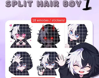 Split Dye Hair Hooded Boy Pngtuber Model: Anime Chibi Twitch Stream ...