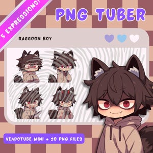 Raccoon PNGTuber Boy - Anime, Chibi, Kawaii, Premade Twitch Stream Asset, PNGTuber Model, Vtuber, Streaming, OBS, Veadomini, Veadotube