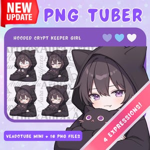 Black Haired PNGTuber Cat Girl / Boy: Anime Chibi Vtuber Model - 4 expressions