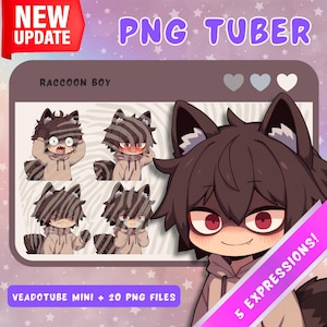 Raccoon Boy PNGTuber Model: Anime Chibi Twitch Stream Asset - 5 Expressions image 1