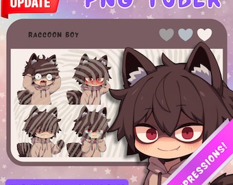 Raccoon Boy PNGTuber Model: Anime Chibi Twitch Stream Asset - 5 Expressions