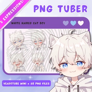 白髪の猫耳少年 PNGTuber モデル: アニメ ちび Vtuber