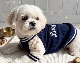 May include: A small white dog wearing a navy blue and cream corduroy varsity-style sweater. The sweater features long cream sleeves with navy and white striped cuffs, a navy body with the name Lucy embroidered in white script, and a striped collar.