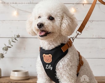 Set personalizzato per passeggiate con il cane: pettorina e guinzaglio con nome personalizzato.