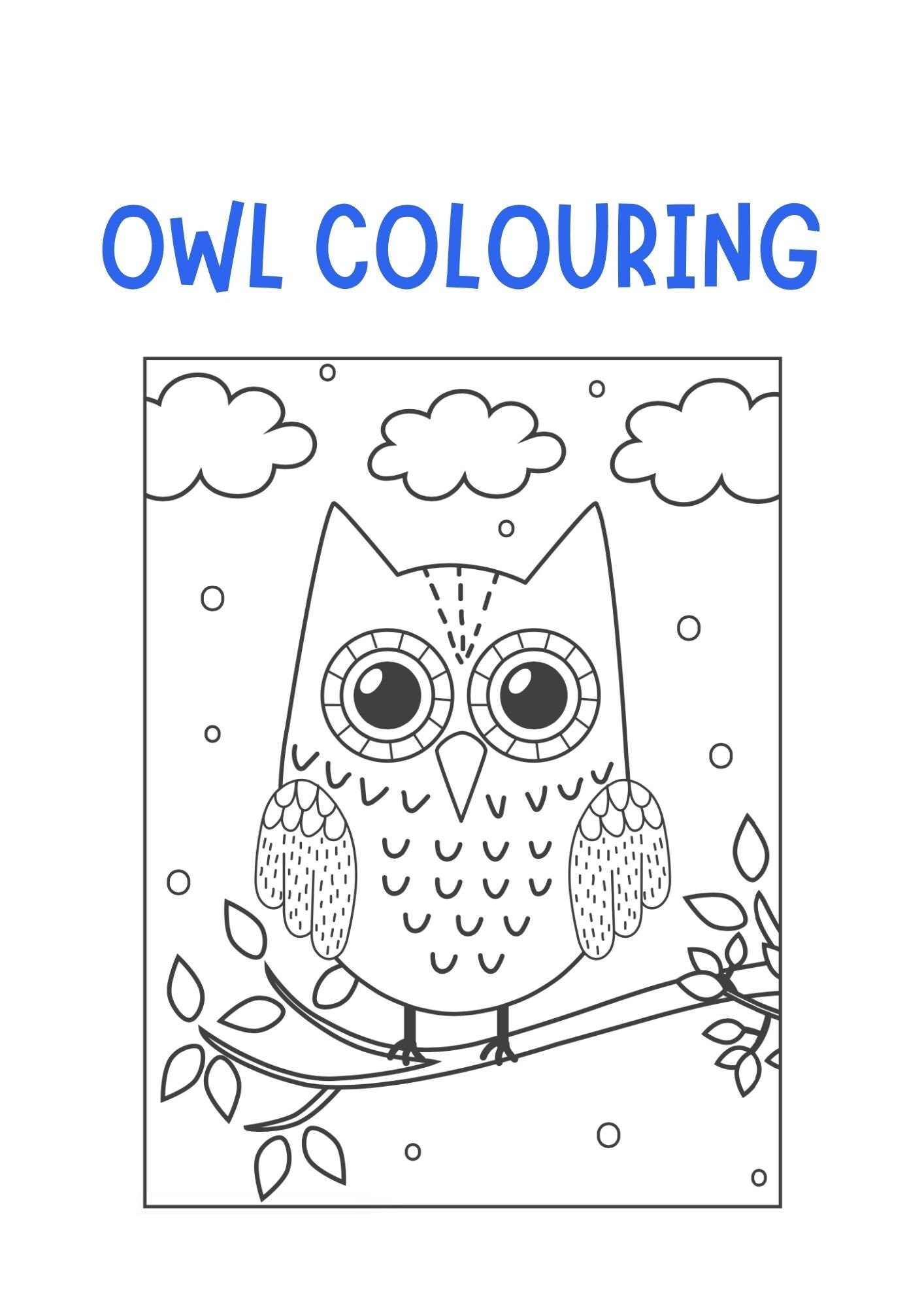 Owl Cute Colouring (21 Pages). Engaging, Adorable, Enjoyable for Kids ...