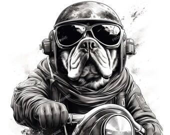 Bad Biker Bulldogs - 4 PNG images - Resolution 4096 x 4096 pixels 300 dpi