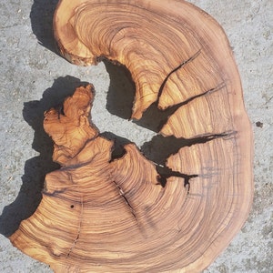 Italian Secular Olive Wood Slab, 9&quot;x12&quot;x2&quot; Wood for Epoxy Resin, Wood Slice, Olive Wood Slab