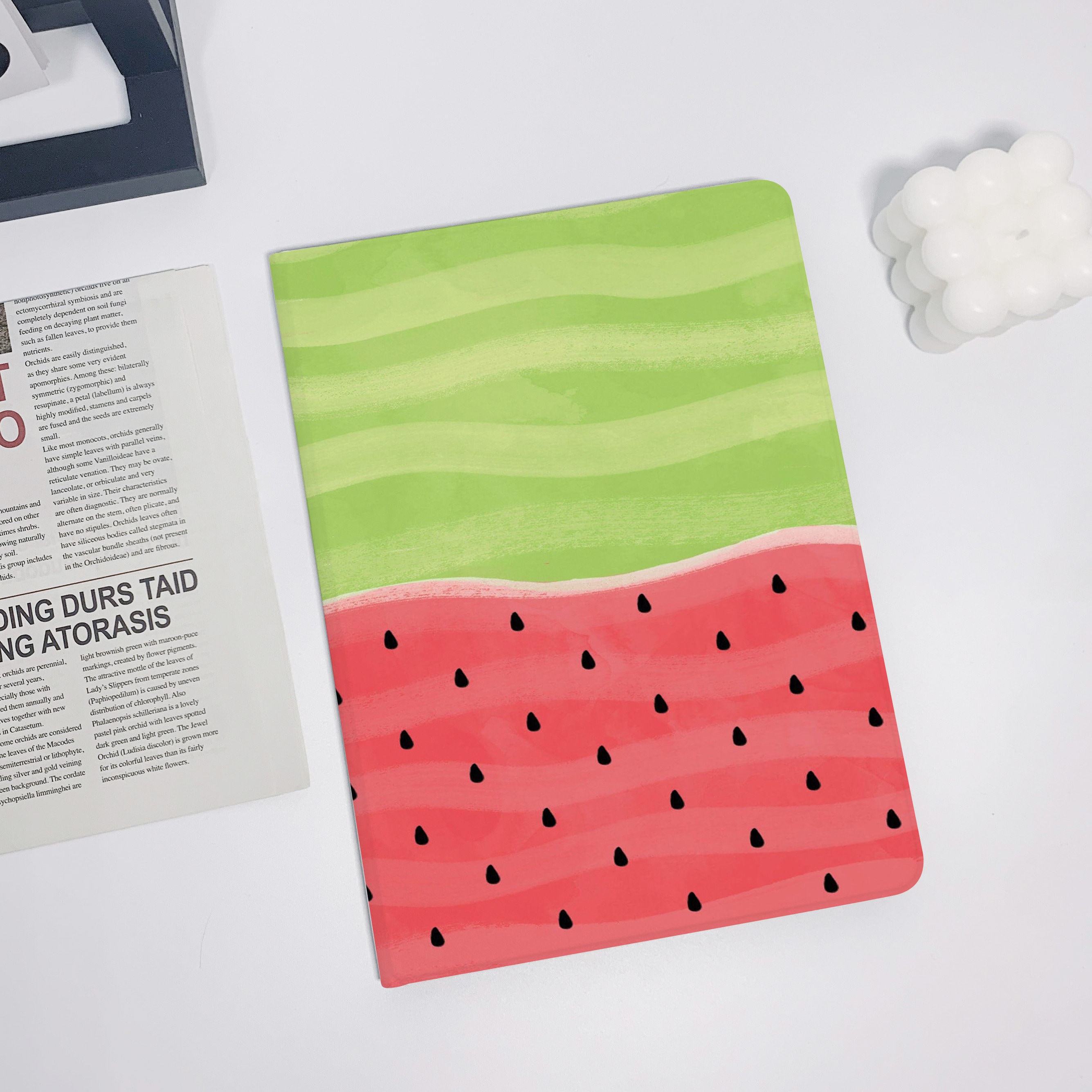 Housse iPad APPLE Smart Folio pour iPad 10 th Generation Watermelon Pas  Cher 