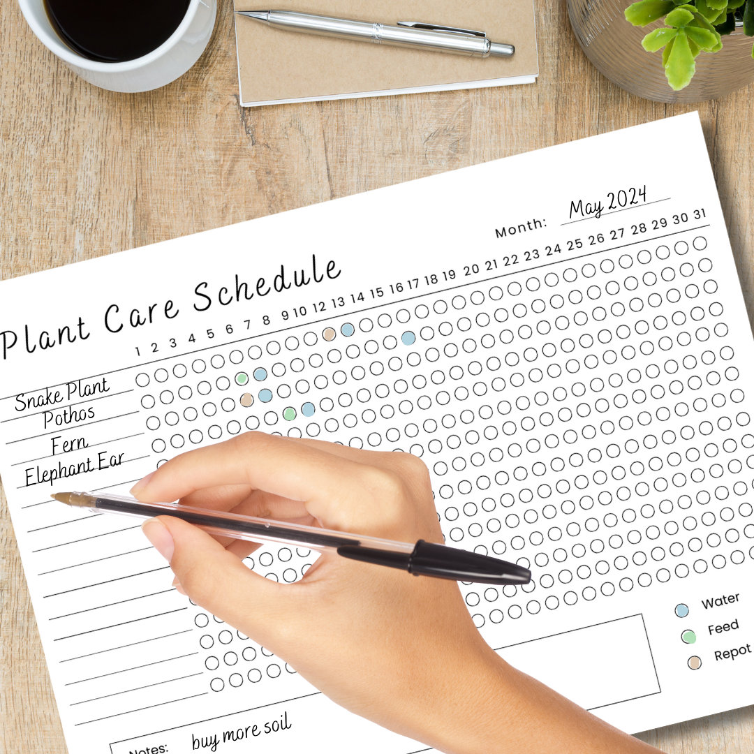 Monthly Plant Care Tracker Printable, Plant Watering Schedule, Monthly Plant Planner, Gardening ...