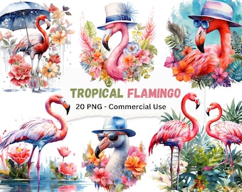 Clipart de flamenco tropical en acuarela: 20 ilustraciones PNG (descarga digital)