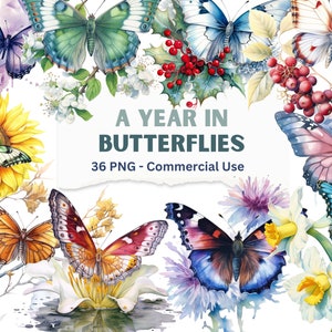 Birth Month Butterflies PNG, Cute Butterfly Clipart Bundle of 36 Graphics, Butterflies Illustration for DIY Crafts, Insect PNG