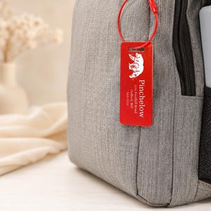 May include: A grey backpack with a black zip and a mesh side pocket. A red tag with the name "Pinchelow" and a bear logo is attached to the backpack.