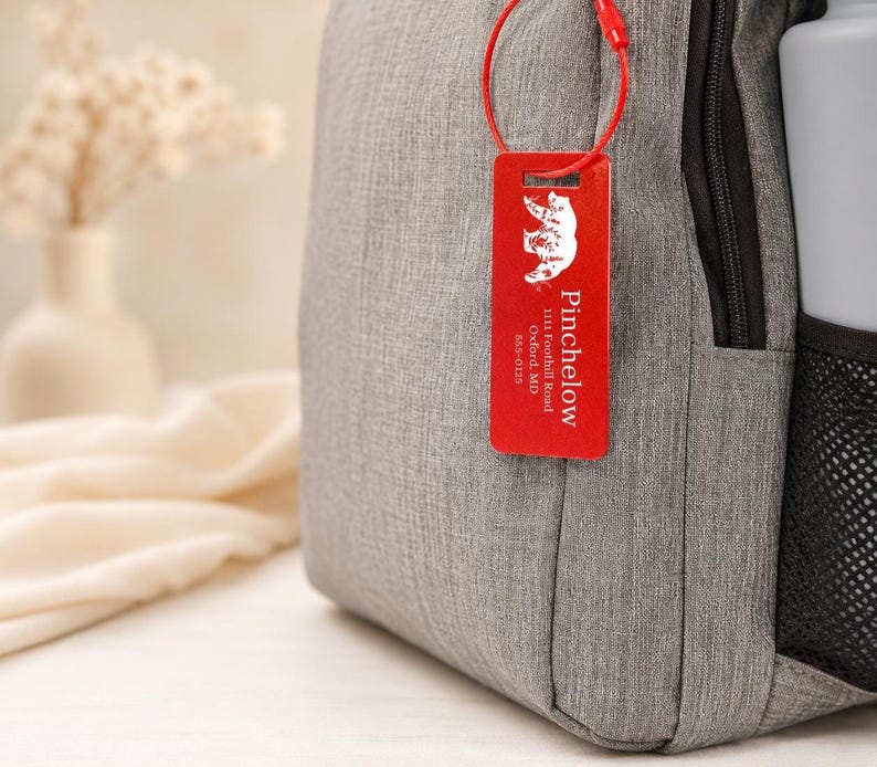 May include: A grey backpack with a black zip and a mesh side pocket. A red tag with the name "Pinchelow" and a bear logo is attached to the backpack.