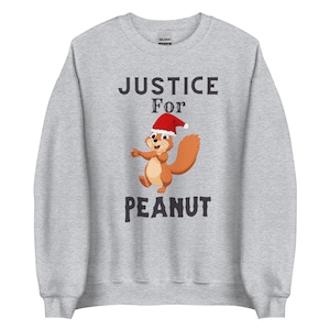 Unisex Justice For Peanut Tee| Peanut The Squirrel, Animal Lover sweatshirt, Gift For Her, Gift For Him, Comfort Colors Shirt, RIP Peanut
