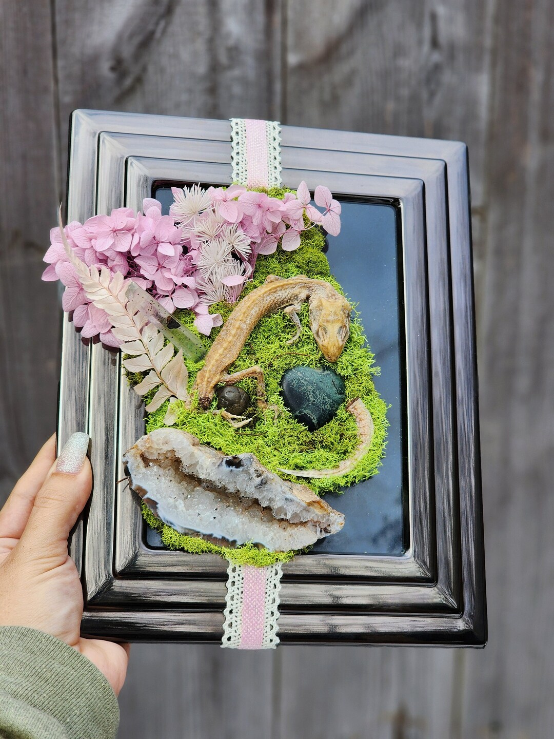 Leopard Gecko, tangerine Mummified Frame Display - Etsy