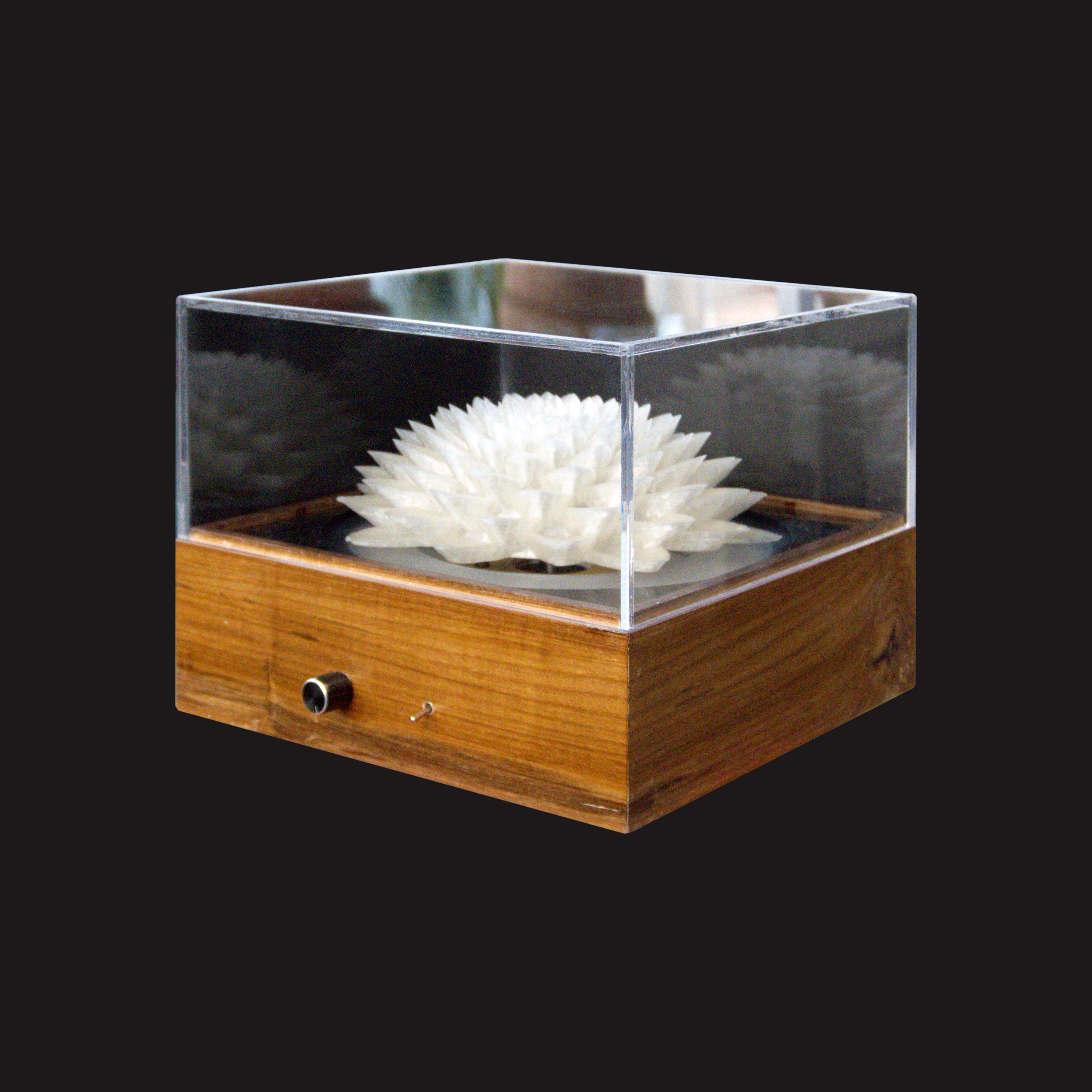 Phenakistoscope - Etsy 日本