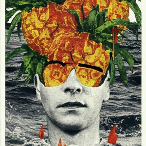 Stampa vintage, poster retrò, poster e cartolina di Ananas, illustrazione di poster unica