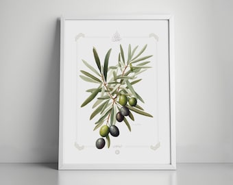 Islamic art | Olive | watercolor | Islamic home decor | Islamic poster | printable | wall art | vintage | fruit | food | Arabic art | poster