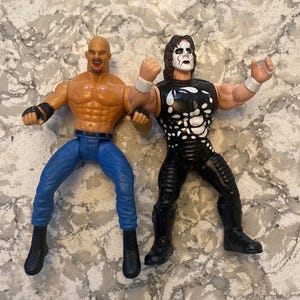 WCW Action Figures