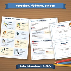Op de afbeelding: Drie printbare activiteitenbladen met illustraties van wintervogels, wetenschappelijke experimenten over sneeuw en ijs, en twee certificaten. De tekst bevat titels zoals Forschen, f&uuml;ttern, singen, Winterv&ouml;gel en Urkunde, vergezeld door kleurpotloden.