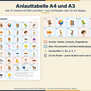 K&ouml;nnte beinhalten: Eine p&auml;dagogische Anlauttabelle in A4 und A3 mit 37 Buchstaben des deutschen Alphabets, gepaart mit passenden Illustrationen und W&ouml;rtern. Das Raster verwendet korallenfarbene und blaue, farbcodierte Felder zur Einteilung von Vokalen und Konsonanten.