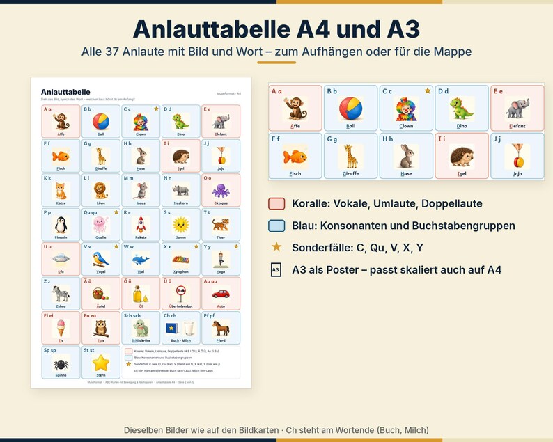 K&ouml;nnte beinhalten: Eine p&auml;dagogische Anlauttabelle in A4 und A3 mit 37 Buchstaben des deutschen Alphabets, gepaart mit passenden Illustrationen und W&ouml;rtern. Das Raster verwendet korallenfarbene und blaue, farbcodierte Felder zur Einteilung von Vokalen und Konsonanten.