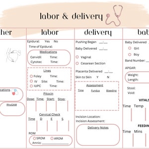 Labor and Delivery Report Sheet / Nursing Report Sheet / L&D Report ...